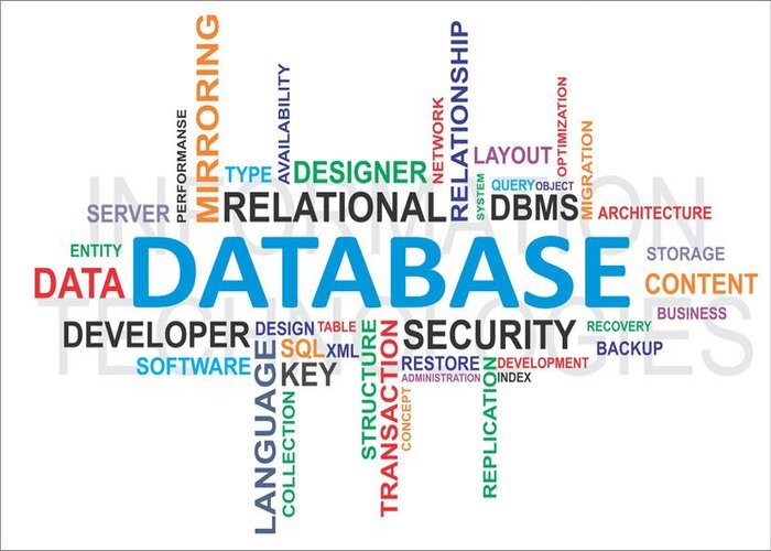 Database là gì? Vai trò và sự cần thiết của database