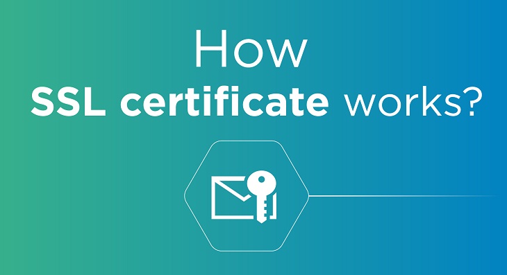 SSL là gì? SSL có quan trọng với website không? SSL là gì? Tại sao nên sử dụng SSL?